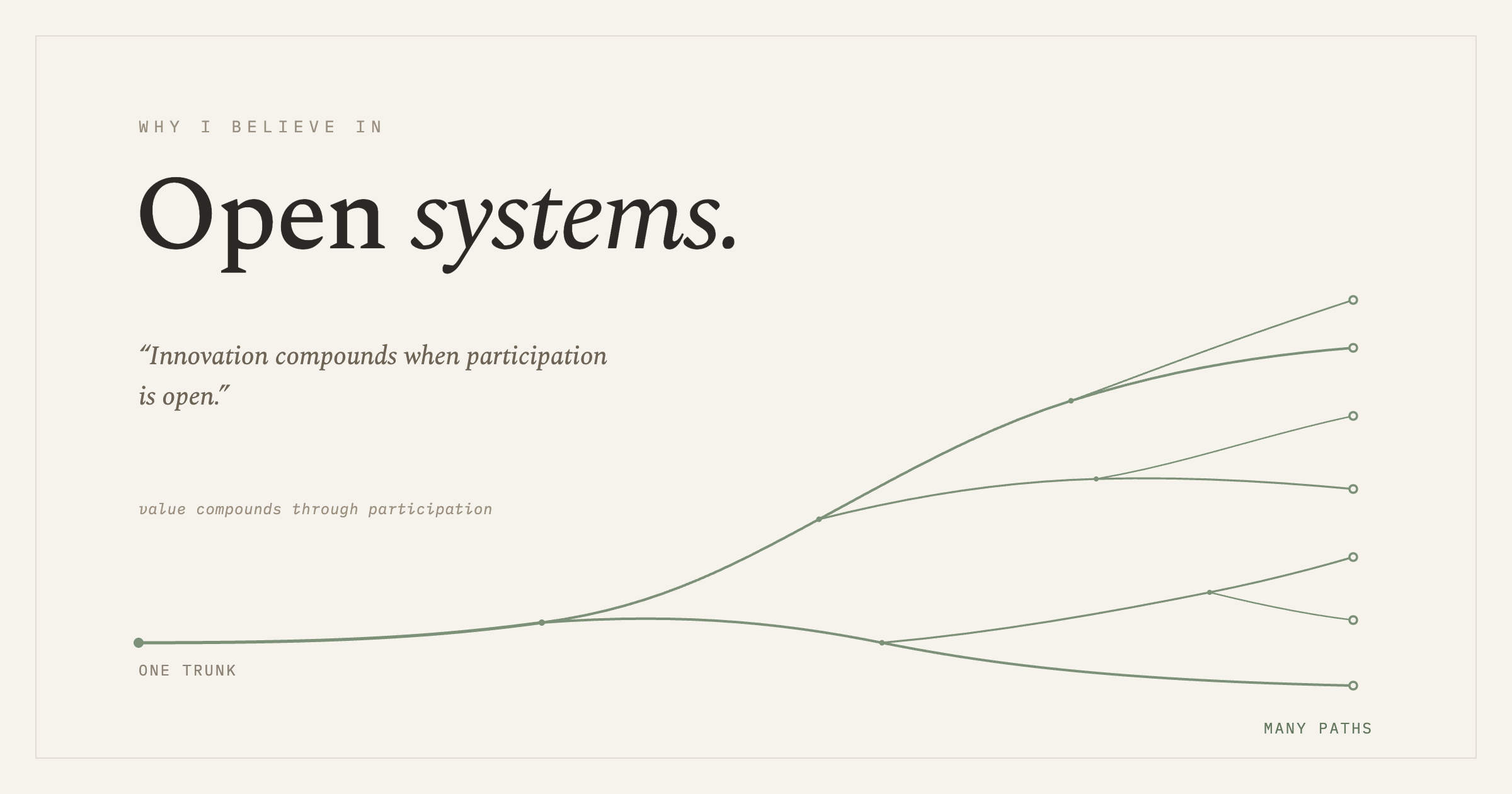 One trunk branching into many diverging paths: value compounds through participation.